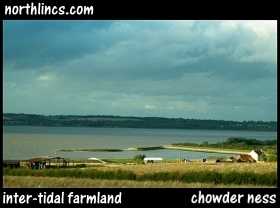 inter-tidal farmland
